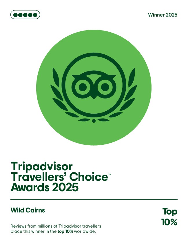 Wild Cairns Wins Tripadvisor Travelers’ Choice Award — Two Years ...
